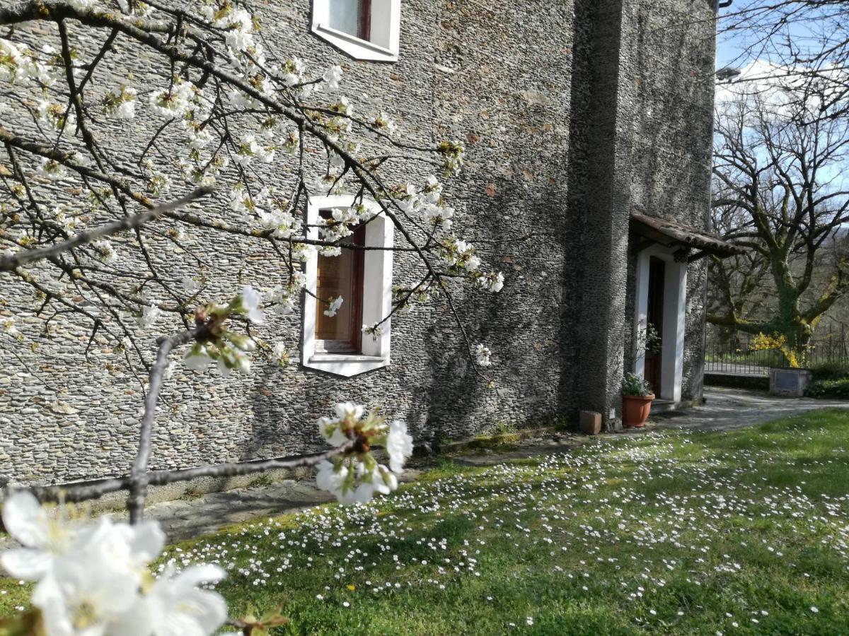 Casa nel verde Decollatura Esterno foto