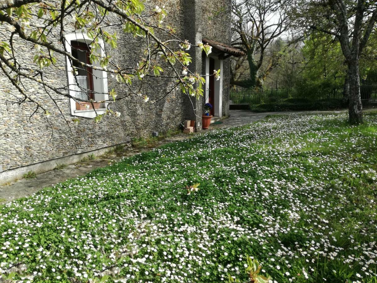 Casa nel verde Decollatura Esterno foto