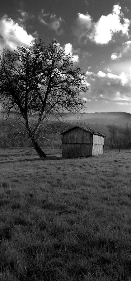 Casa nel verde Decollatura Esterno foto